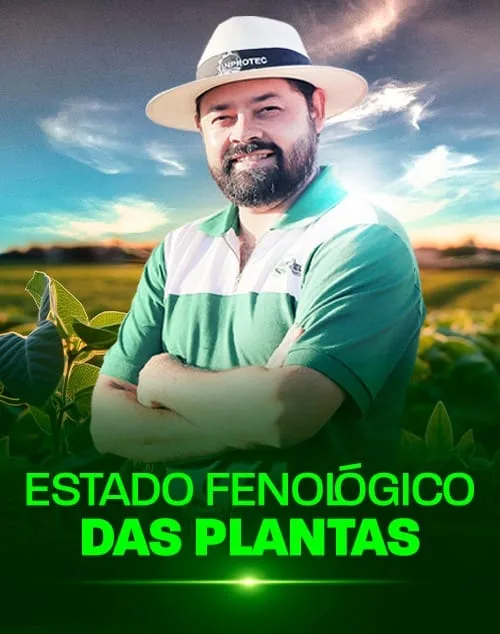 Curso Faculdade do Operador de Máquinas Pesadas